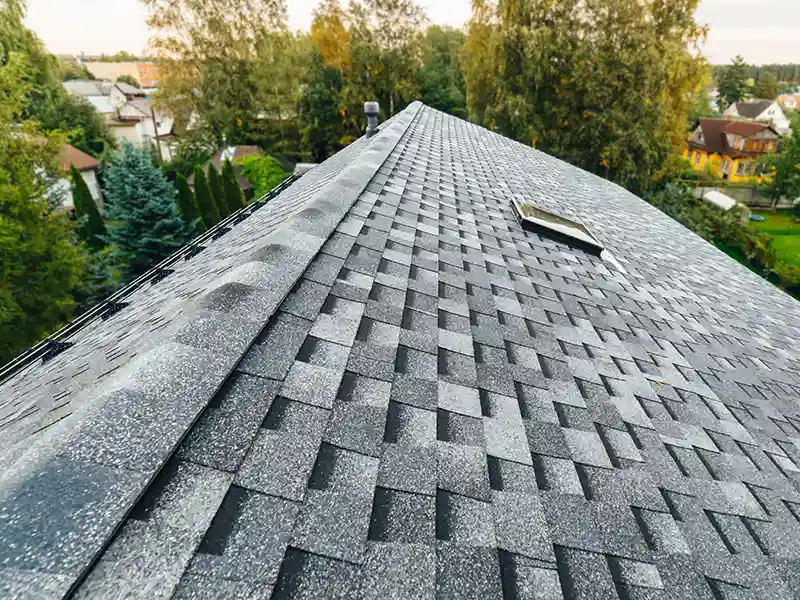 Gray asphalt shingle roof